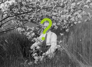 illustrasjonsfoto med spørsmålsteikn