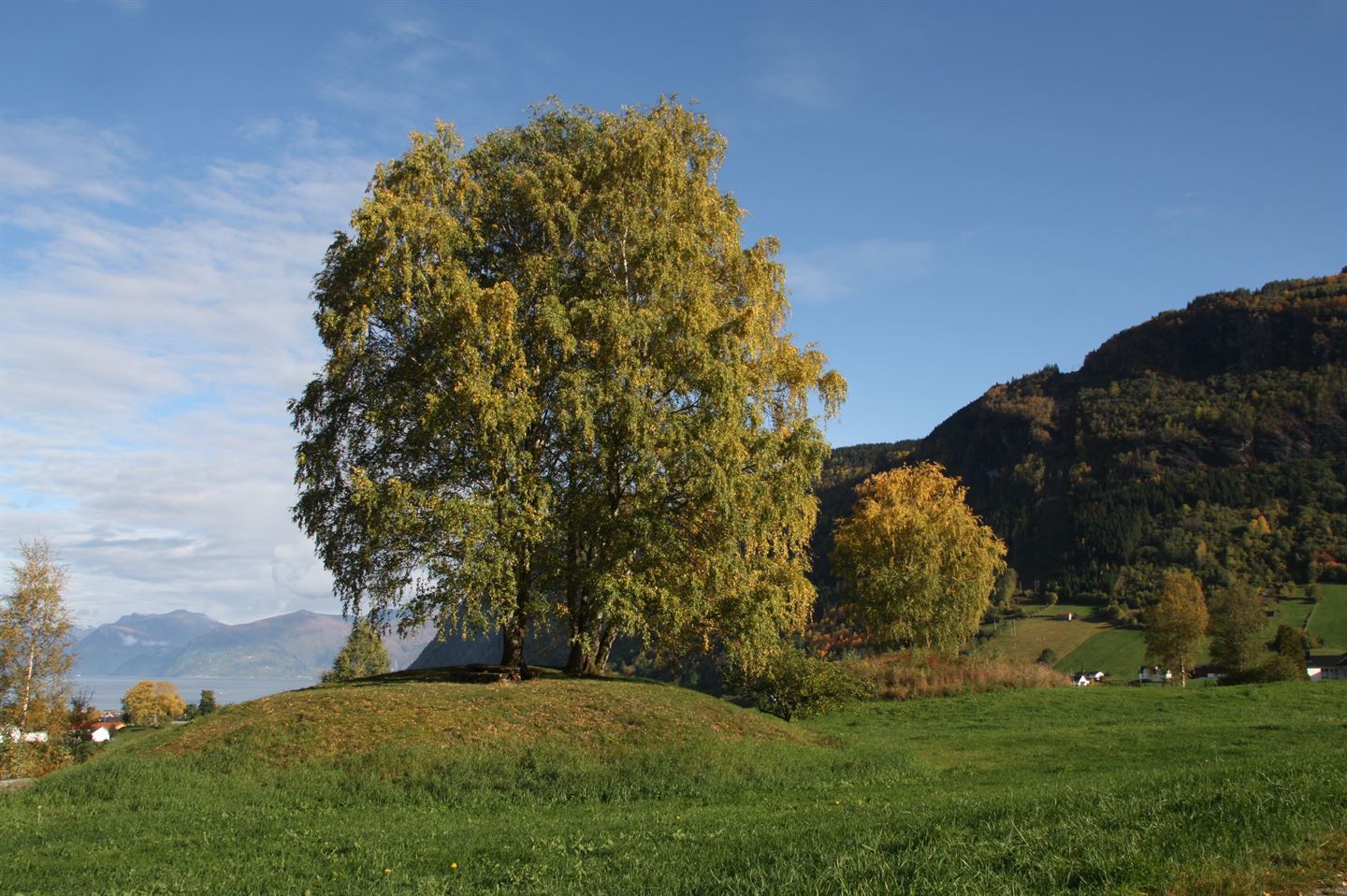 foto frå Moahaugane i Vik kommune