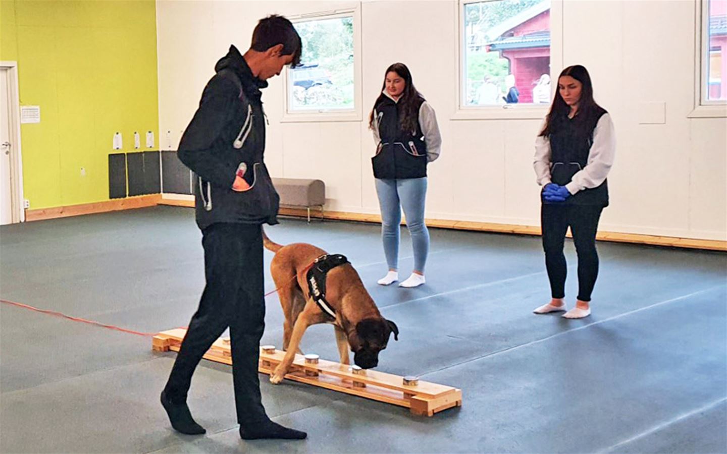 SKAL BLI HUNDEFØRAR: Sebastian Wollertsen trener søk etter lukt med hund på Stend vidaregåande skule.