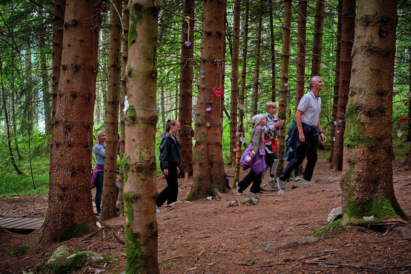 foto som syner folk på tur i skogen