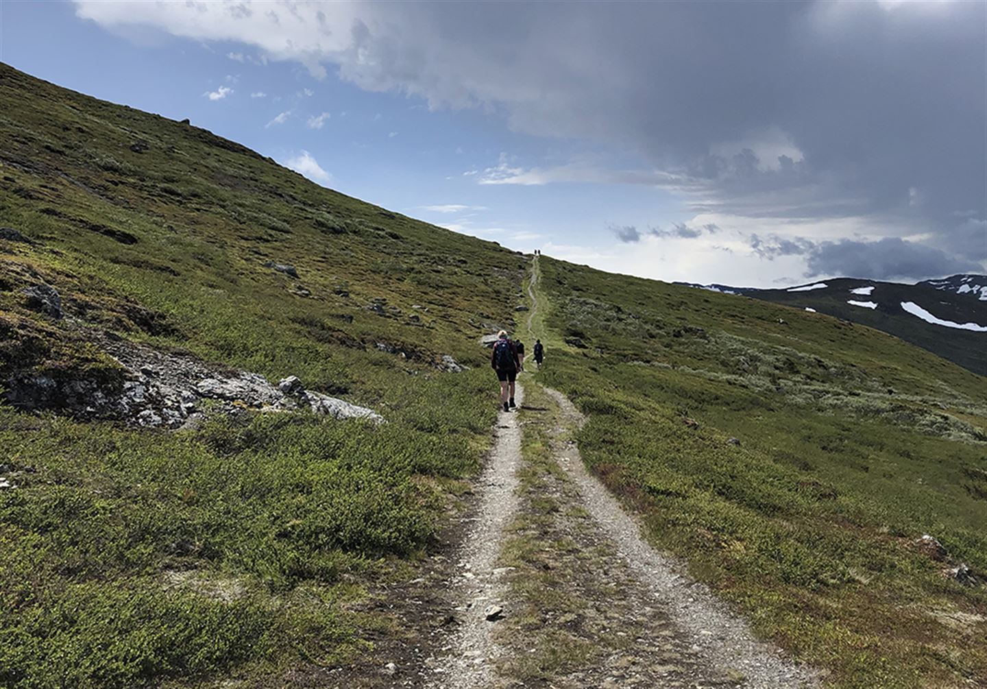 Foto frå Kongevegen over Filefjell
