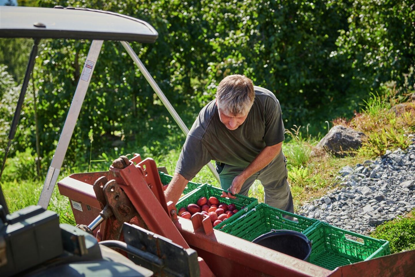 Mann ved traktor som ber ein kasse med frukt.