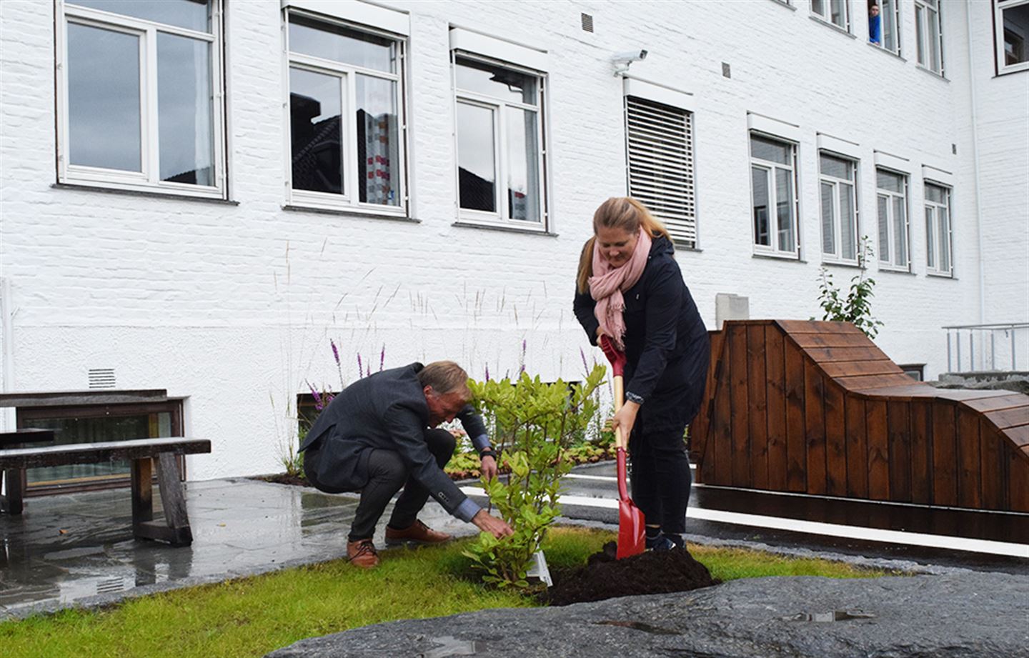 foto av kvinne og mann som plantar eit tre