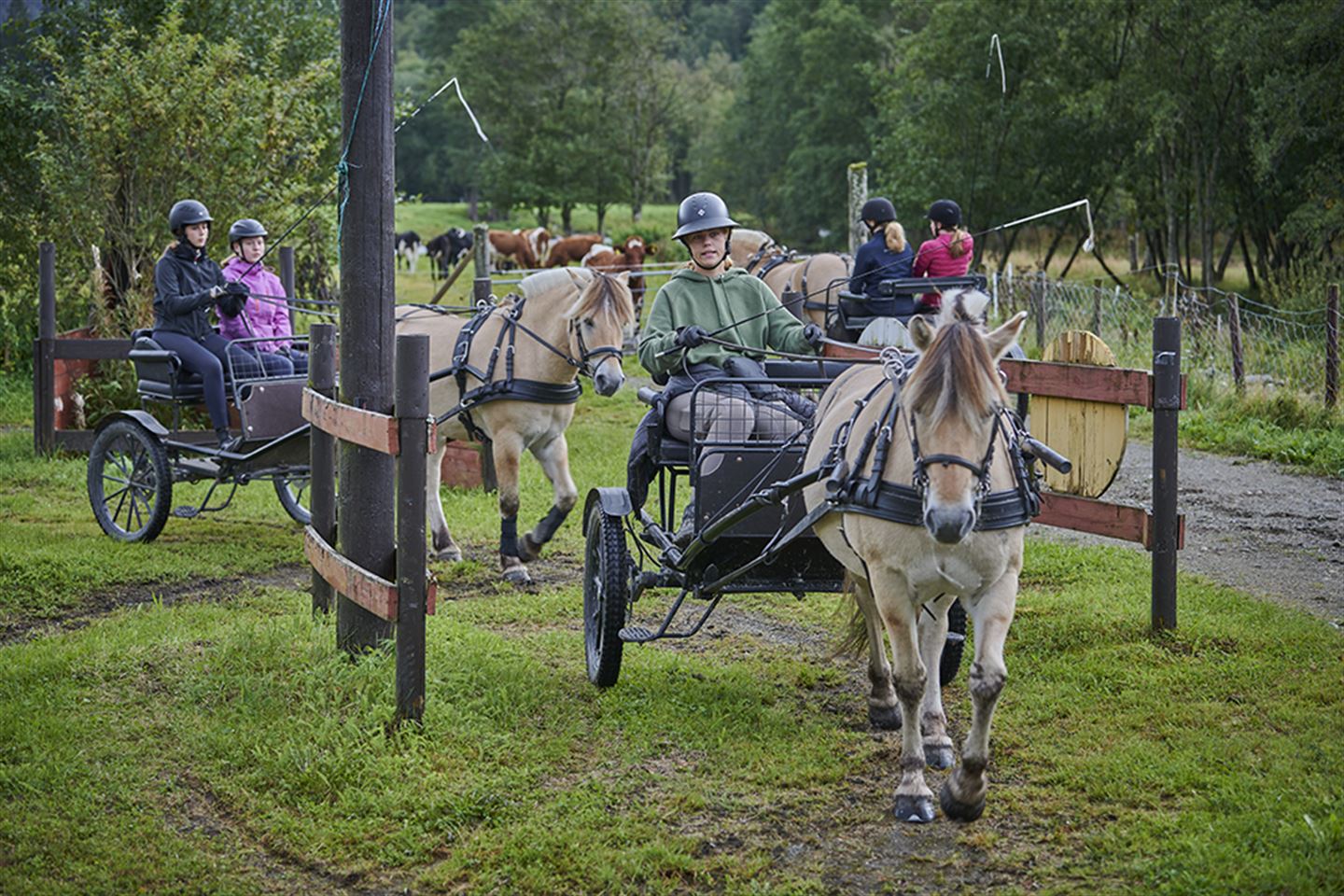 foto av køyring med hest og kjerre på Mo