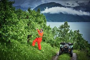 Foto av fruktbonde i oransje kle som jobbar i frukthage. Det står ein firhjuling ved sidan av.