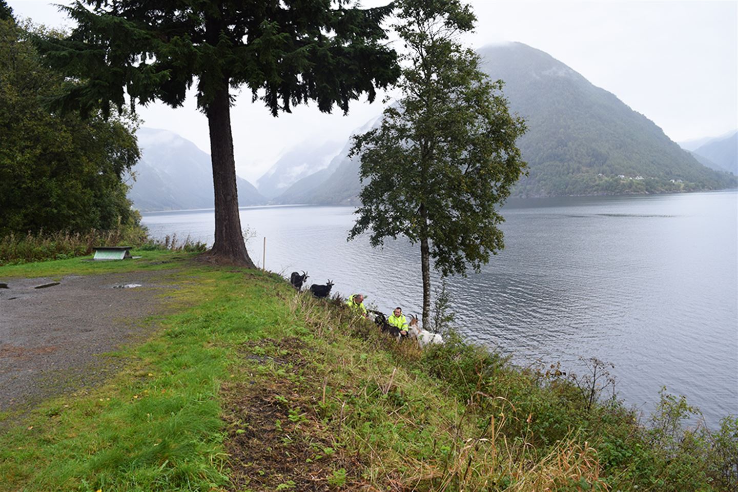 Rasteplass ved fjorden.