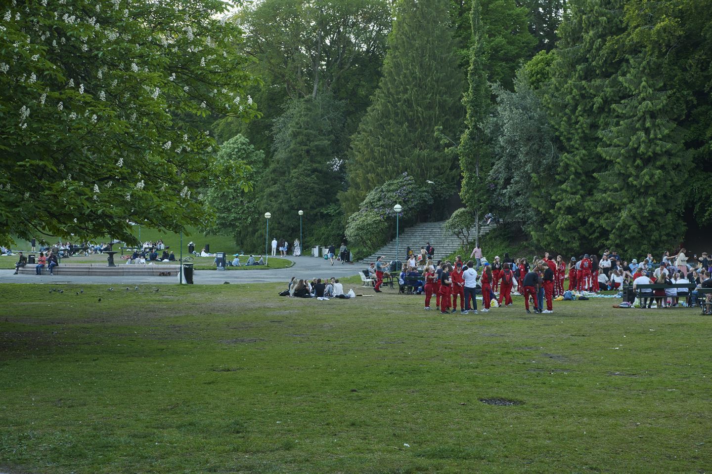 Russ som festar i en park.