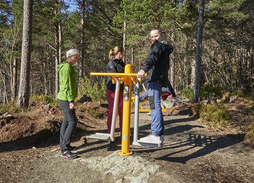 Ungdomar på trimapparat i skogen.