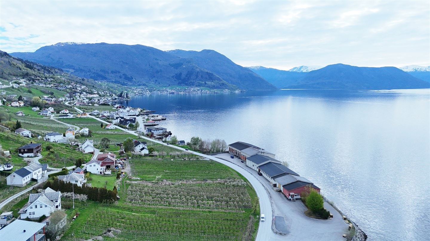 Dronefoto som Leikanger og Sognefjorden.