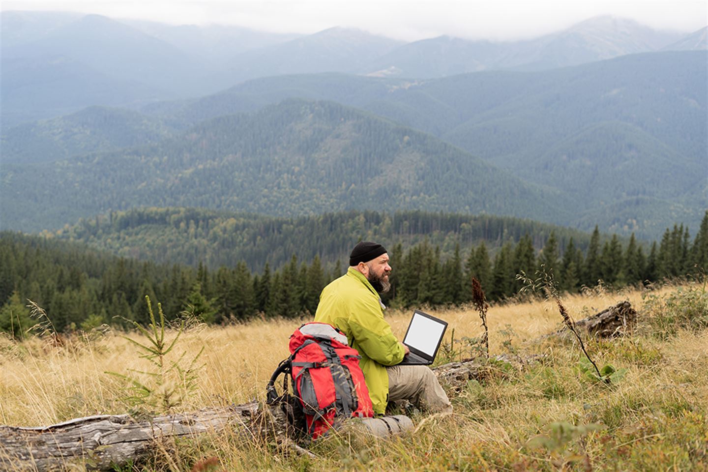 foto av mann som sit i skogen med pc