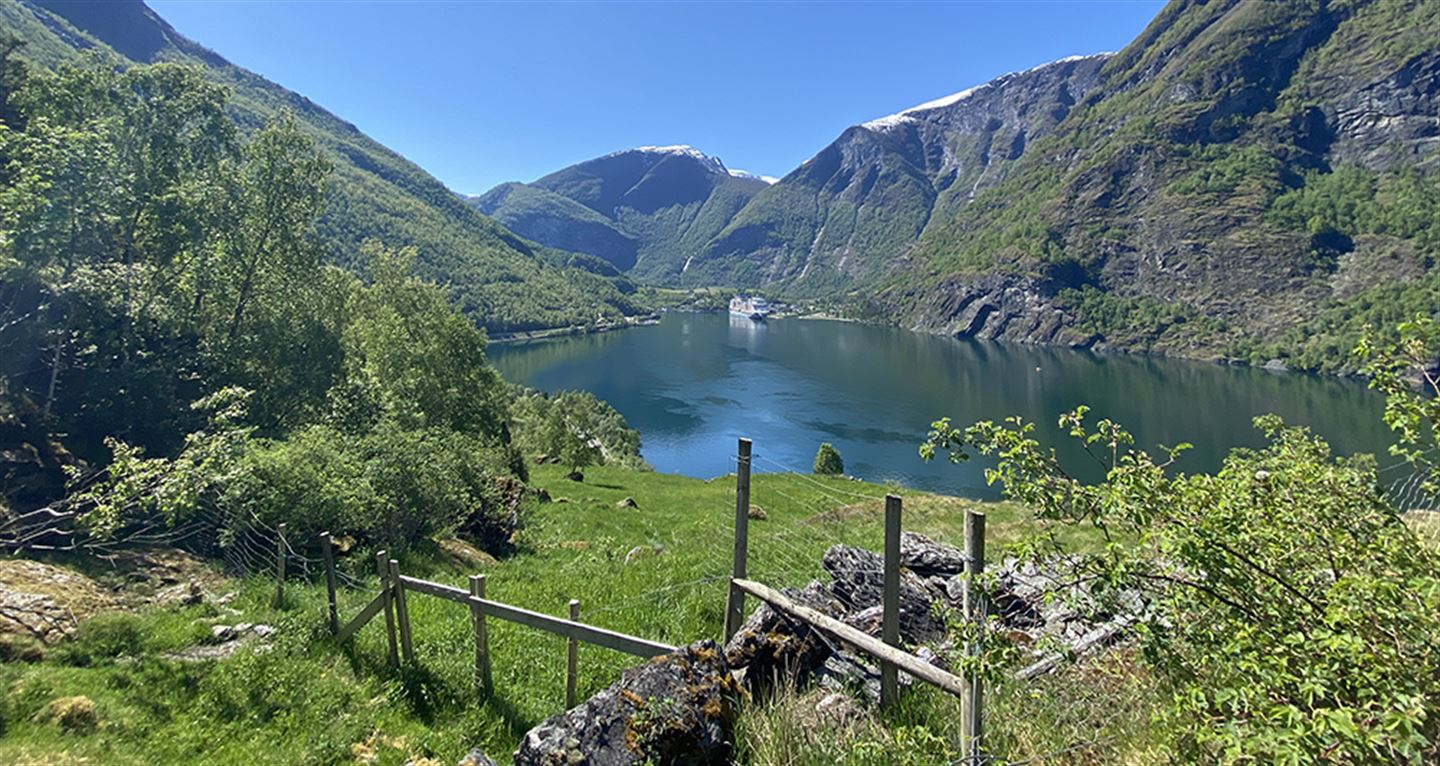 Utsikt mot Flåm.