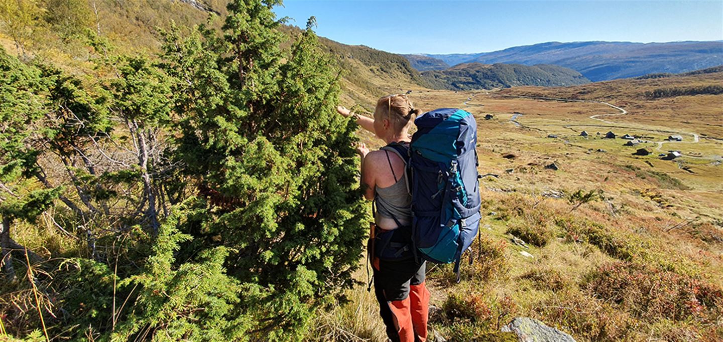 Kvinne på fjelltur med utsikt nedover dal der det ligg ein støl.