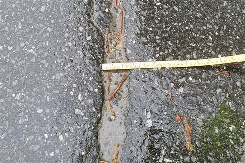 Asfalt med sprekker i. Det ligg fleire brune blader på vegen. Ein gul meterstokk ligg på asfalten. 