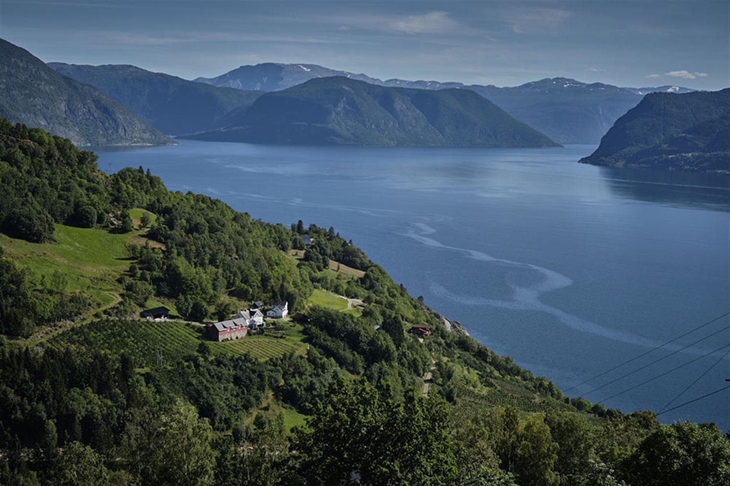 Sognefjorden sett frå fjella over Leikanger