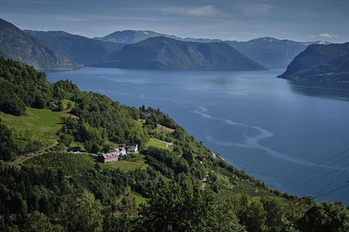 Sognefjorden sett frå fjella over Leikanger