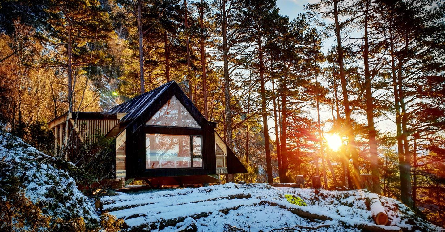 Bilde av ein dagsturhytta i skog. Det er snø på bakken og sol mellom trea. 