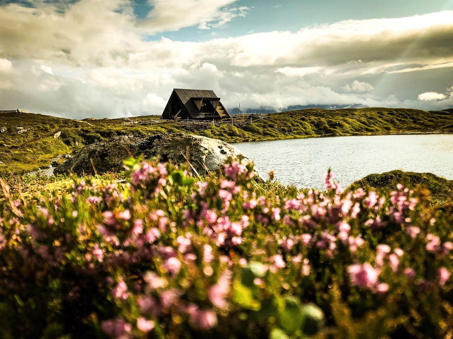 Bilde av ei dagsturhytte. I framgrunnen er det masse lyng ved vatnet der hytta ligg.