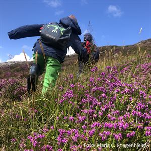 foto av ungar sett bakfrå som spring i kystlynghei