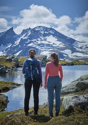Foto av to personer med ryggen til som ser på fjord og fjell