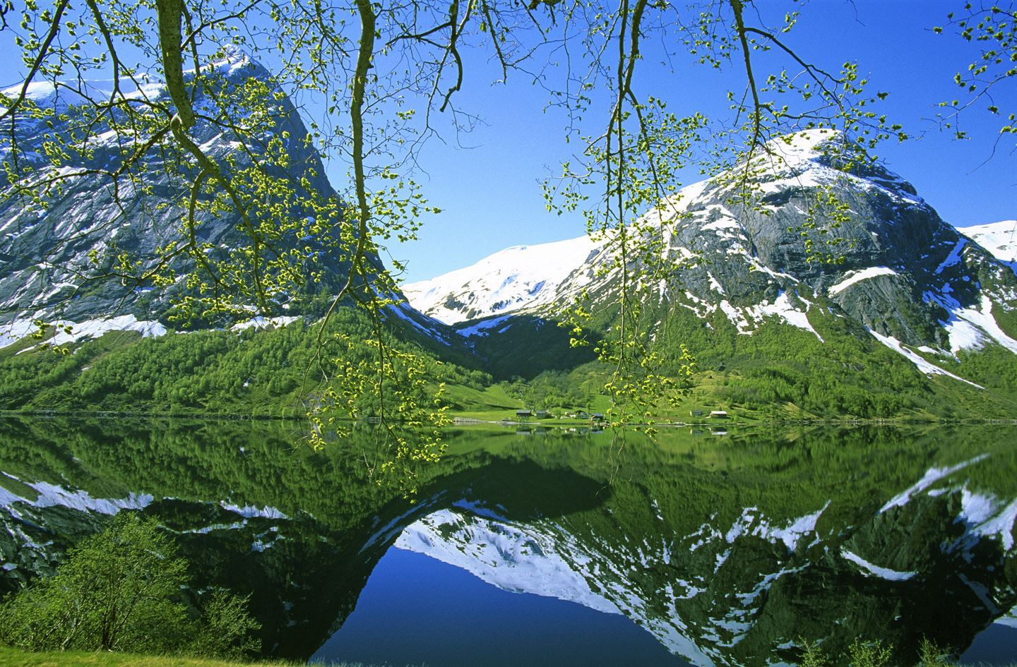 foto ov fjord og snødektefjell om våren