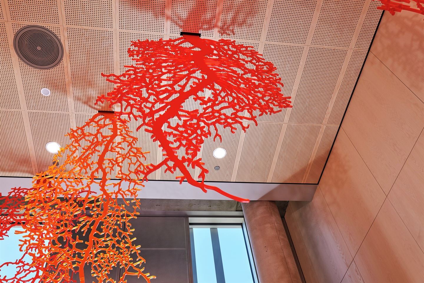 Nærbildet av kunstverk som førestiller oransje røter hengjande frå taket i Vestlandshuset. 