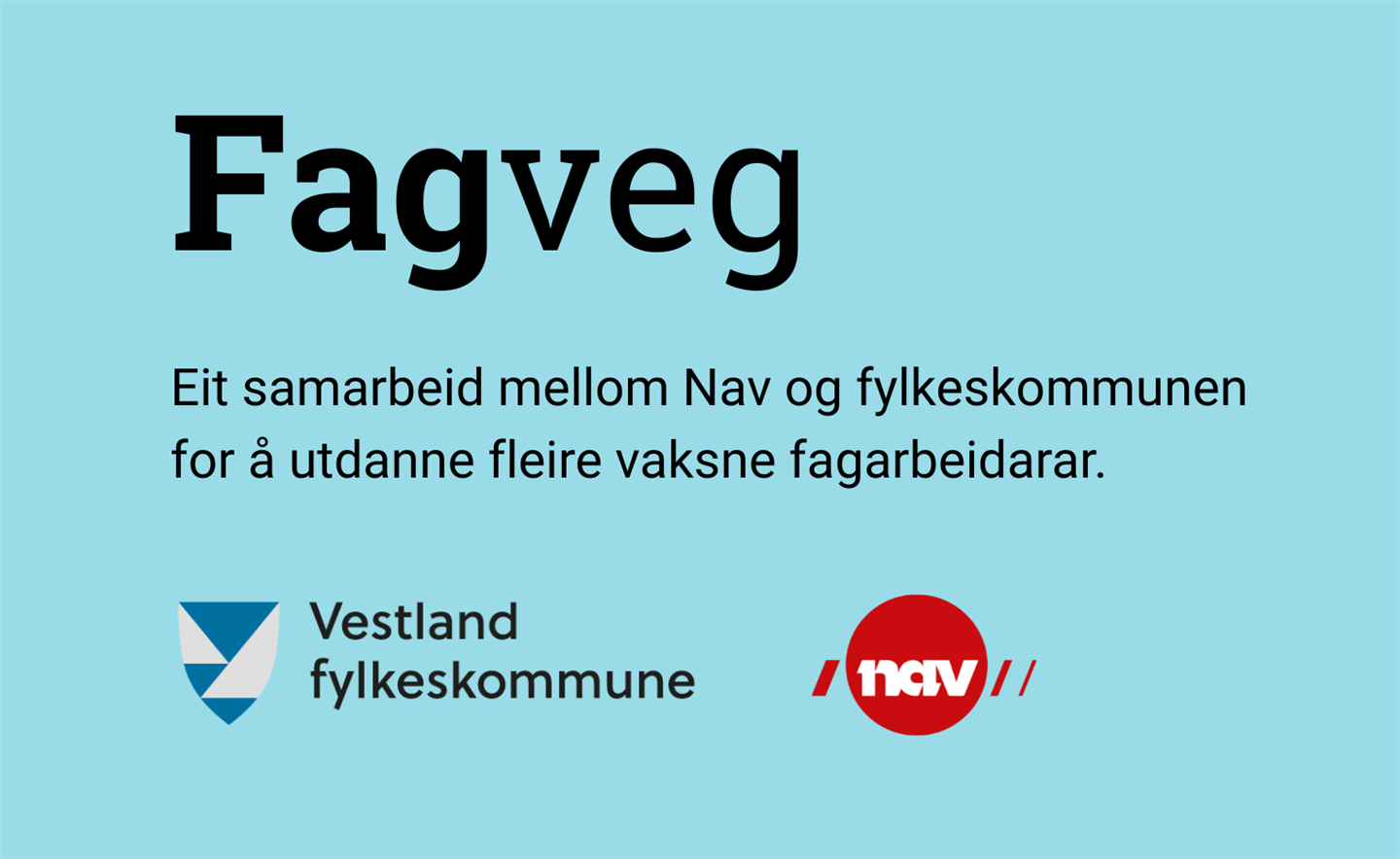 fagvegvignett