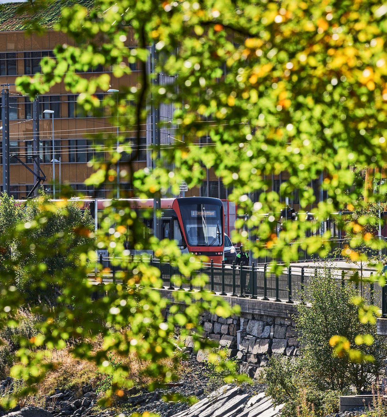 bybanen delvis skjult bak grønt løv frå eit tre i forgrunnen.