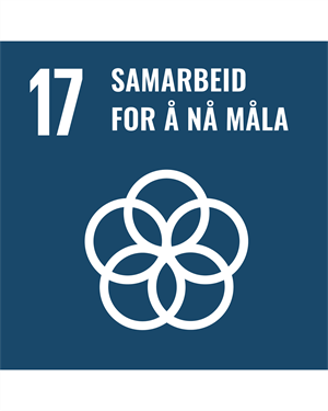 Logo til FNs berekraftsmål 17