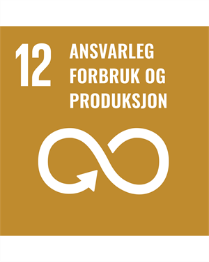 Logo til FNs berekraftsmål 12