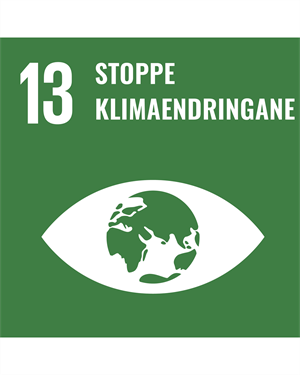 Logo til FNs berekraftsmål 13