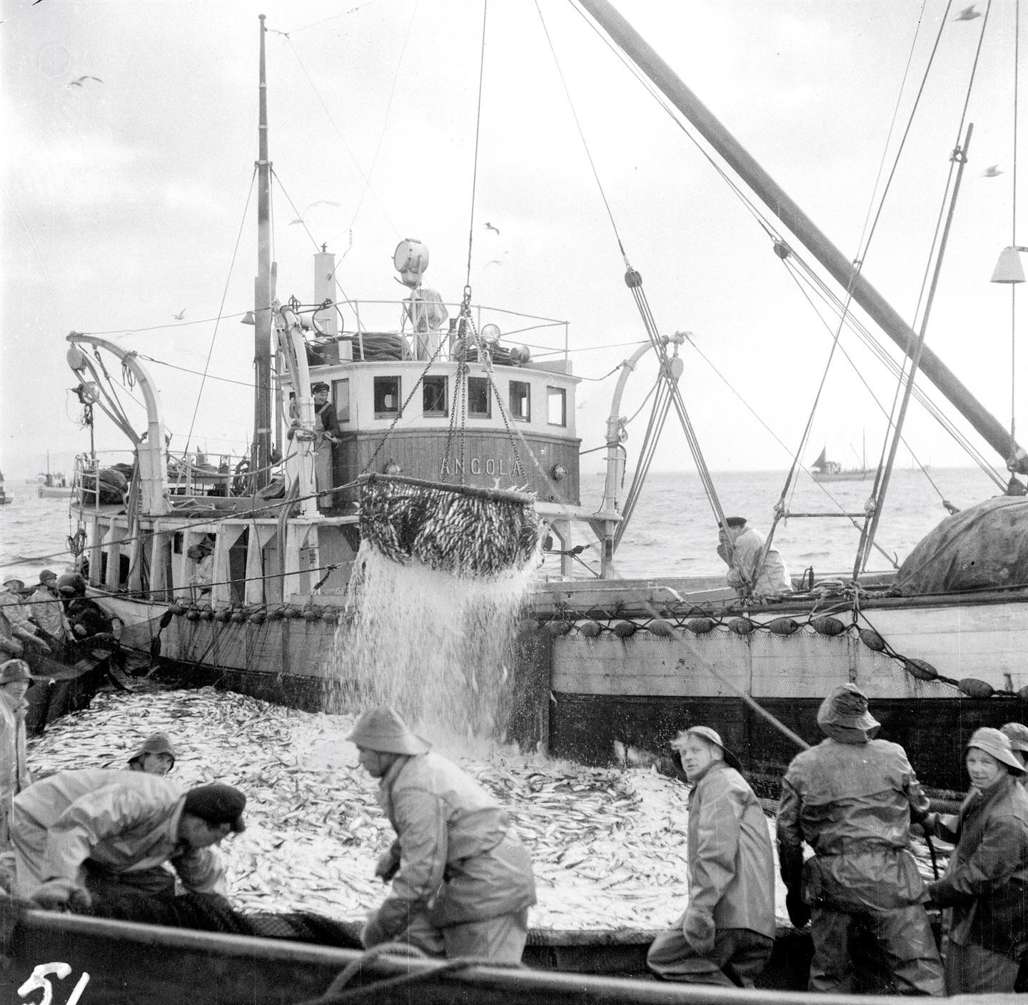 Bilete av fiskebåt med småfisk, fiskarar i oljehyre, sjø og andre båtar i bakgrunnen.