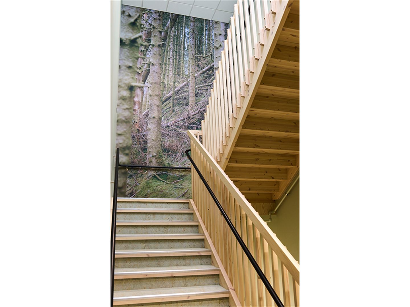 Foto av fotokunstverk som dekkjer heil vegg i repos i trapp. Foto syner rotvelt i skogen.