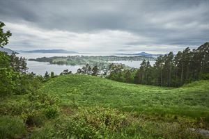 Grøne marker med utsikt til sjø.